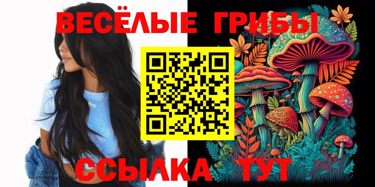 Псилоцибиновые грибы прущие грибы  Вход с VPN  Сафоново 